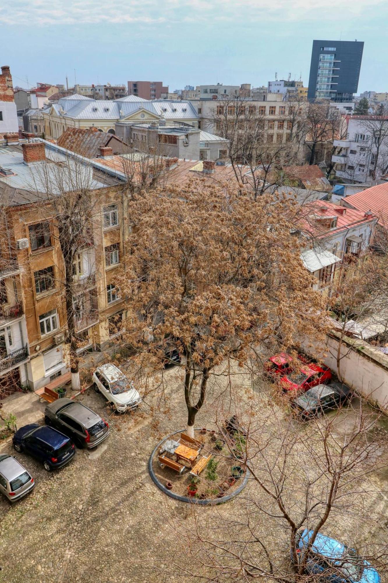 Neo-Classic Design Near Downtown Bükreş Dış mekan fotoğraf